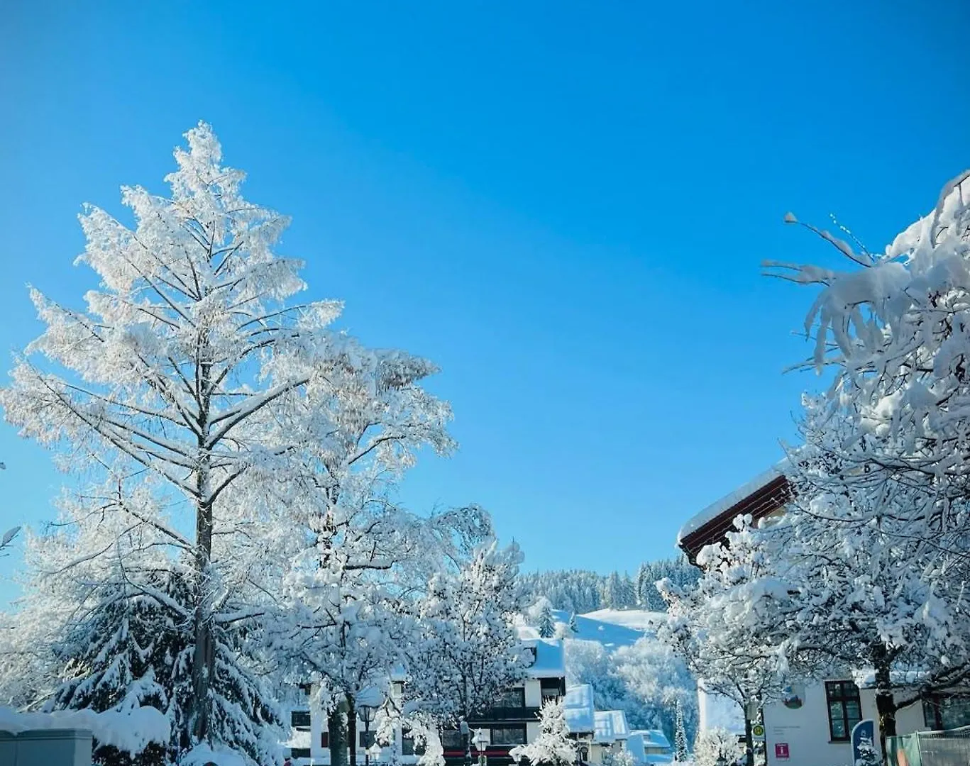 Apartmán Ferienwohnung Sonneck Oberstaufen